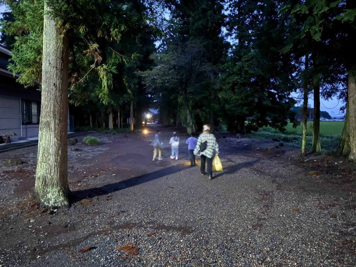 夕暮れの参道を受付へ向かって歩く家族の後ろ姿
