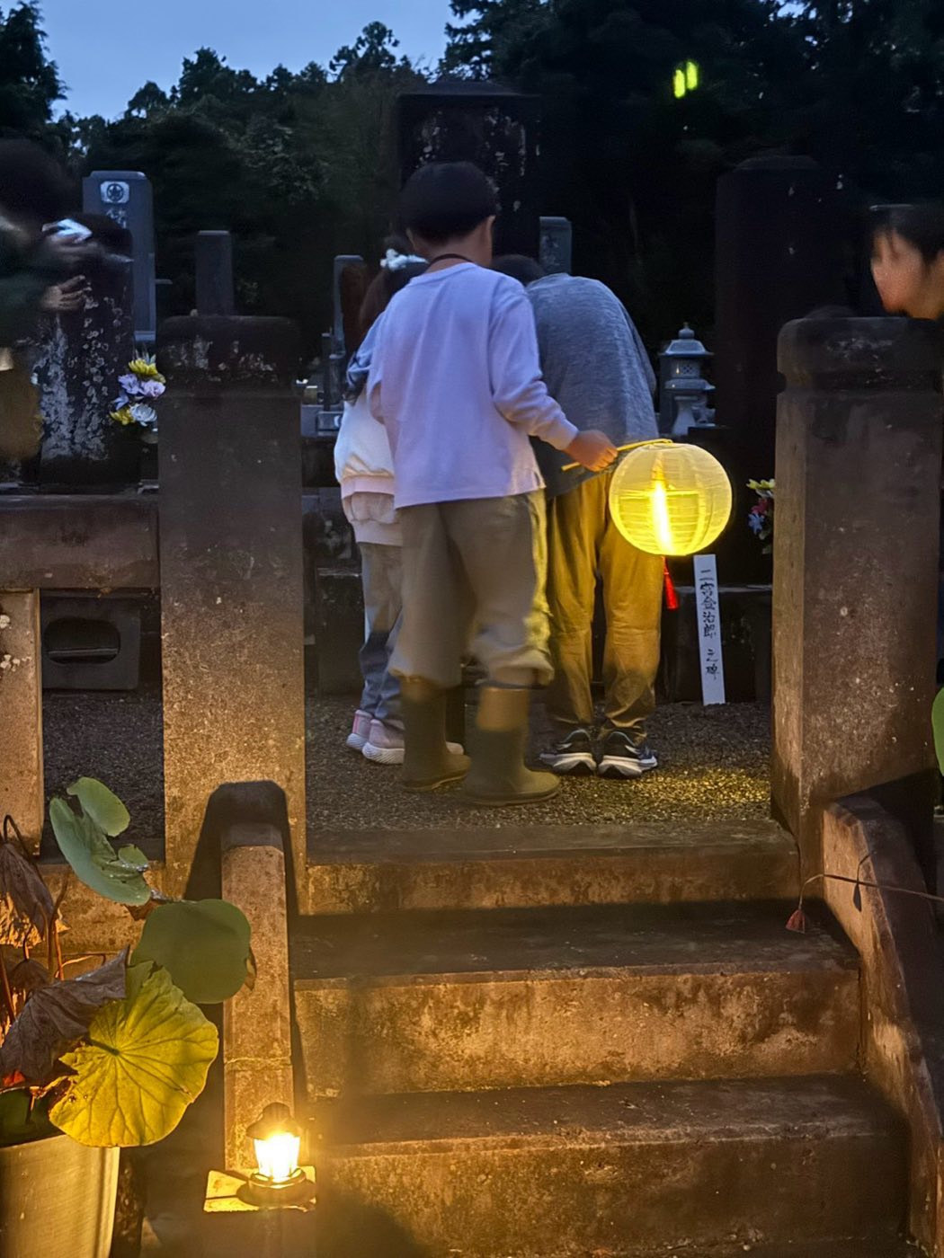 提灯を手に墓地の石段で手を合わせる子どもたちの後ろ姿