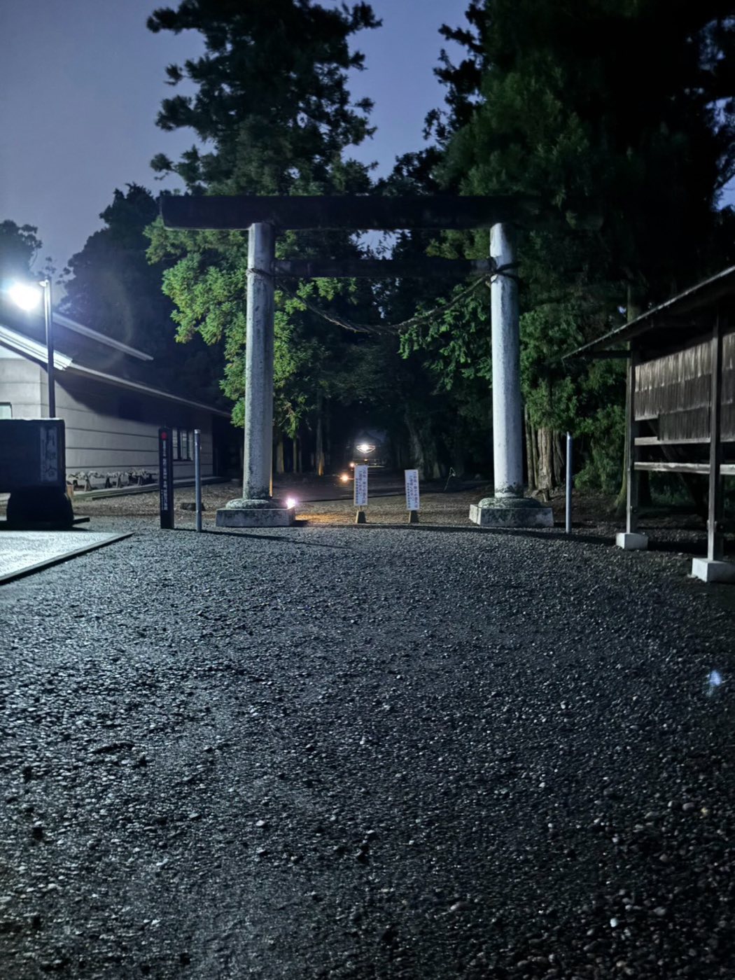 夜の二宮神社の鳥居。奥へとランタンの灯りが続く